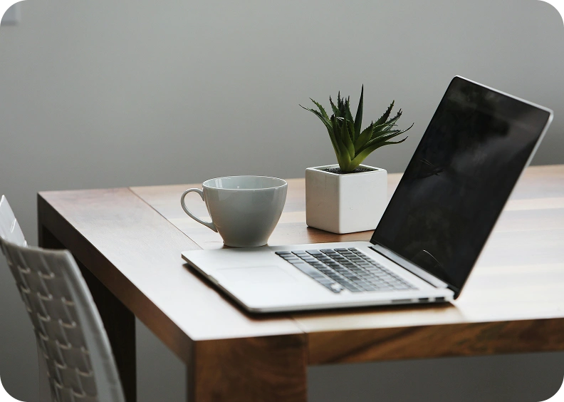 Notebook sobre mesa com xícara e planta decorativa