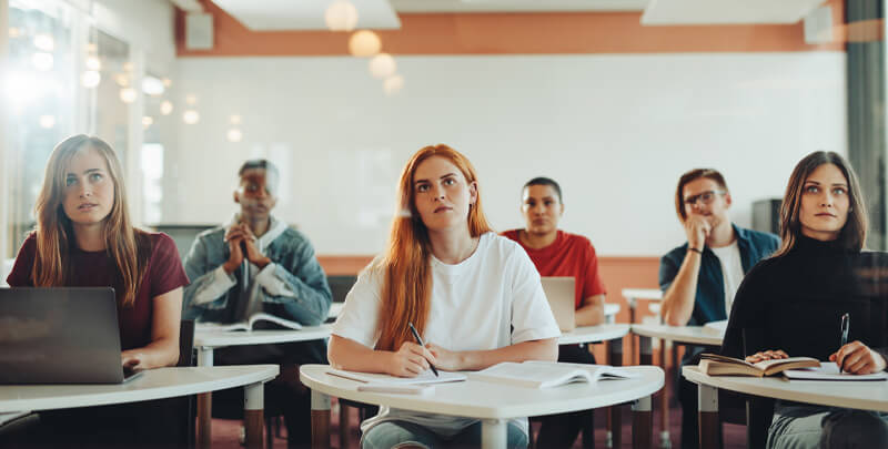 Entre alíquotas e latidos