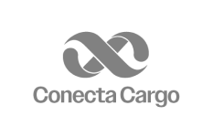 Conecta Cargo logo, empresa de soluções em transporte e logística empresarial, com foco em eficiência, segurança e inovação no transporte de cargas no Brasil.